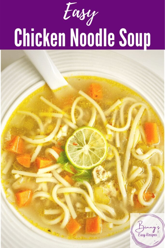 Instant pot Chicken noodle soup