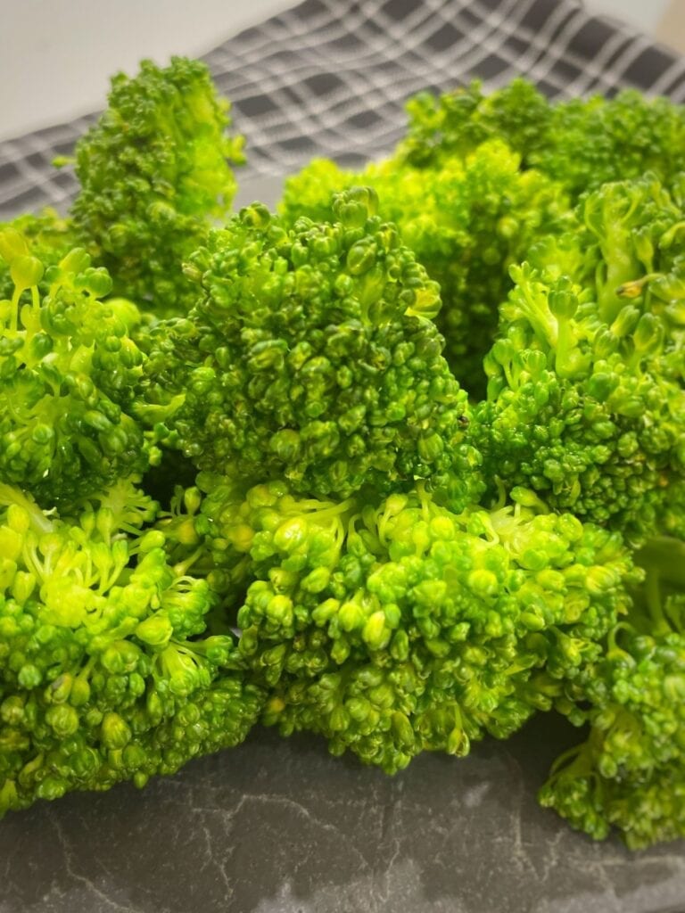 Served steamed broccoli